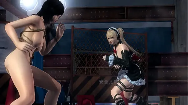 Neue MOD DOA5LR] d. or Alive 5 Last Round 28RX KOKORO VS MARIE Tube insgesamt