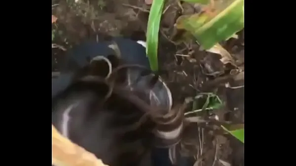 Nuevo Cogiendo al aire libre tubo total